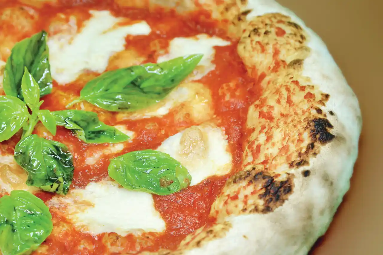 Fresh golden mozzarella bites garnished with herbs